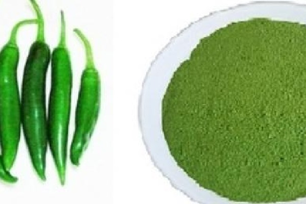 Green chilly powder coming soon