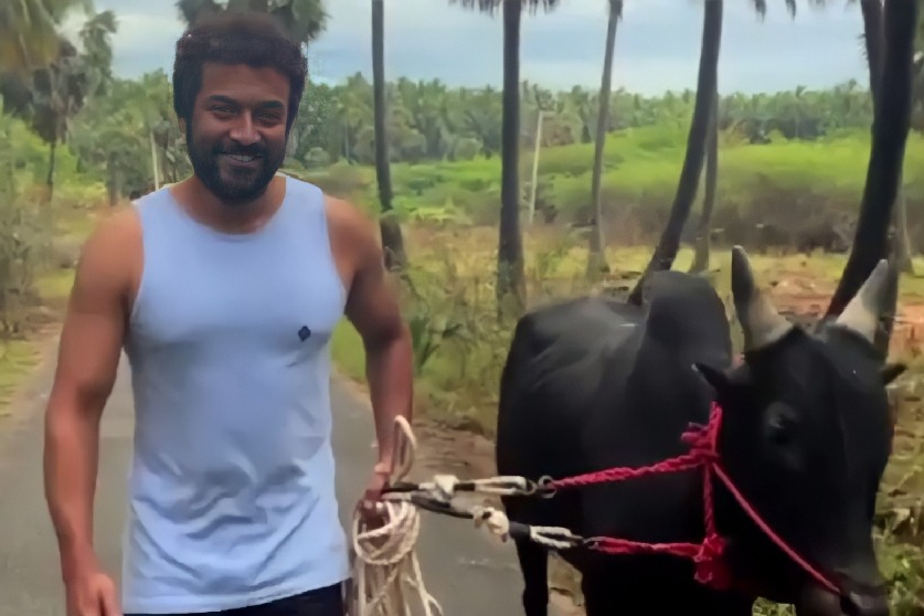 Suriya extends Tamil new year greetings as he walks his bull in video clip