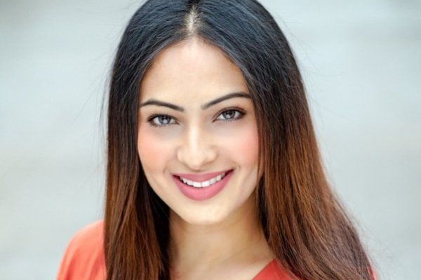 Nikesha Patel slams netizens 