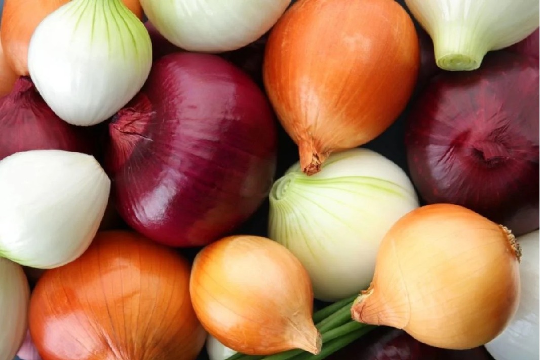 One Raw Onion Makes Help Our Health Many Benefits