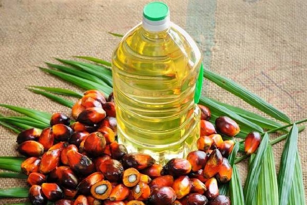 Edible oil prices likely to shoot up 