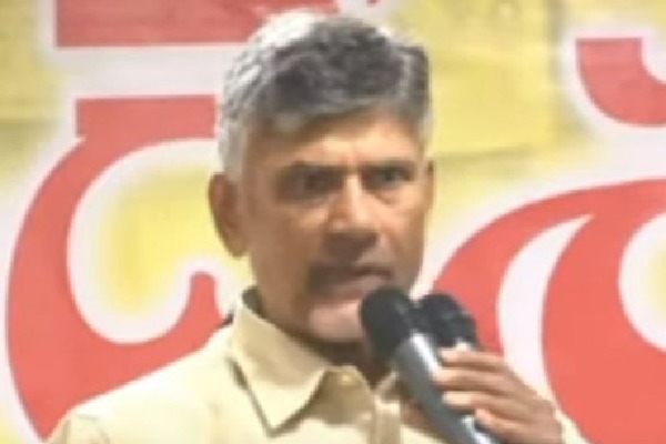 Vizag: Don’t worry about police cases, Chandrababu tells TDP workers