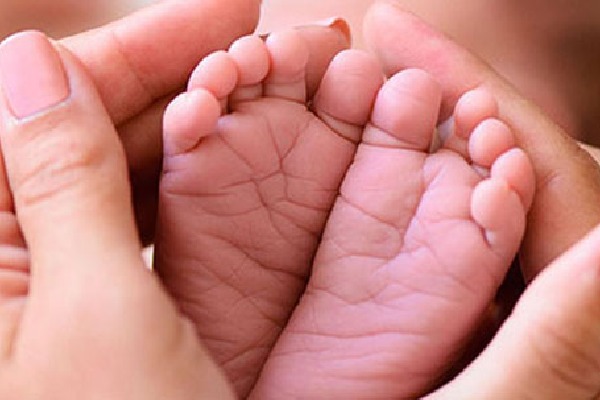 Fertility falls obesity goes up in India says National Family Health Survey