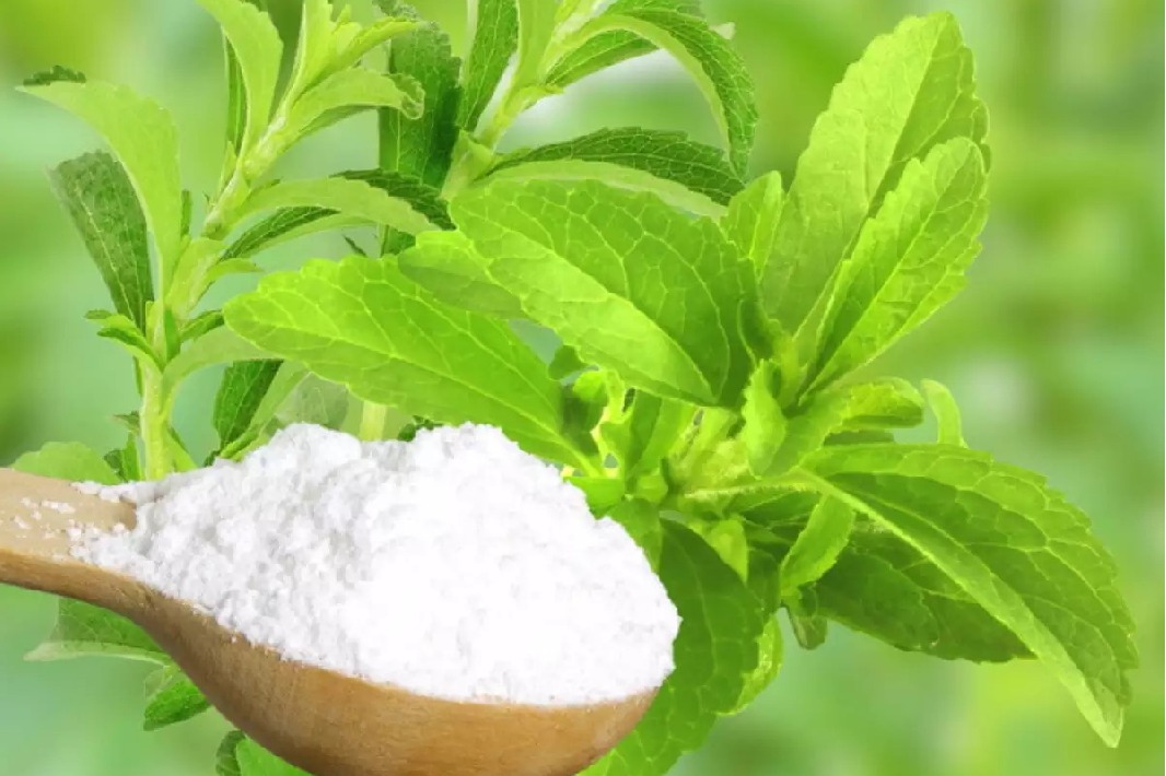 Is replacing sugar with stevia a wise call Nutritionist answers