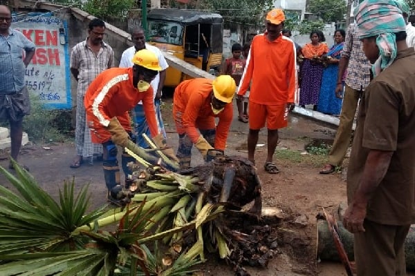 Andhra opens 454 relief camps in districts likely to be affected by 'Asani'