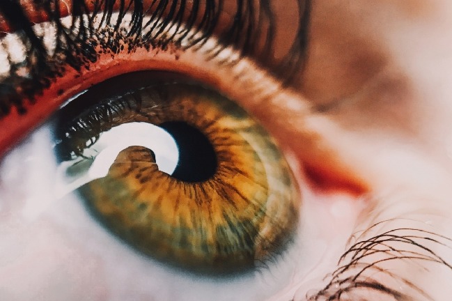 Vision scientists revive light-sensing cells in eyes of dead people