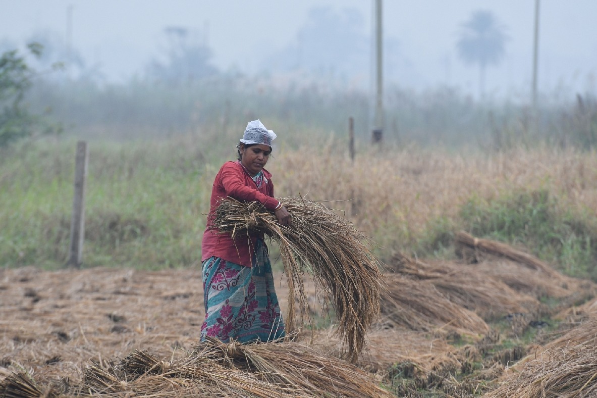 Unseasonal rains hit hard Telangana paddy farmers