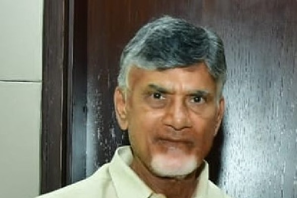 Chandrababu directs TDP cadre to be ready for early Assembly elections