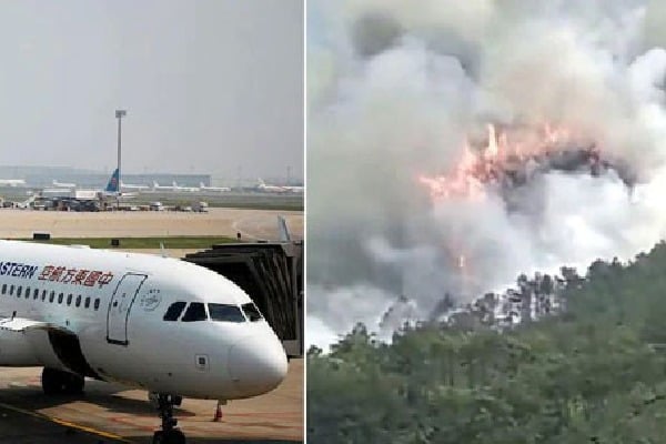 Chinese flight deliberately crashed by pilots