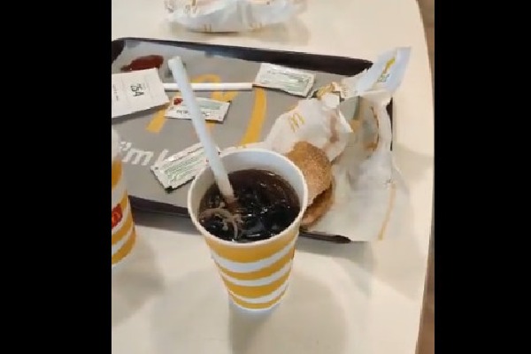 Dead lizard spotted in Cool Drink at a McDonalds outlet in Ahmedabad 