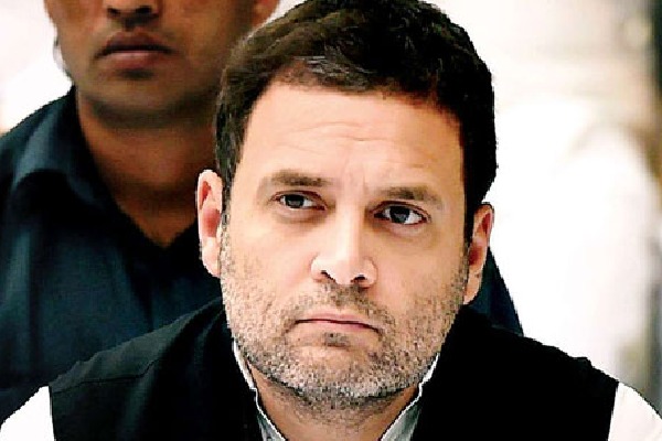 Congress says no need to political clearance to Rahul Gandhi