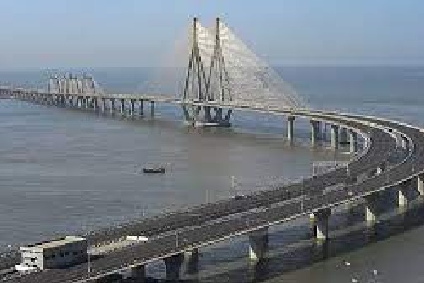 driver stop to rescue eagle killed as taxi ploughs into them on Mumbai Sea Link