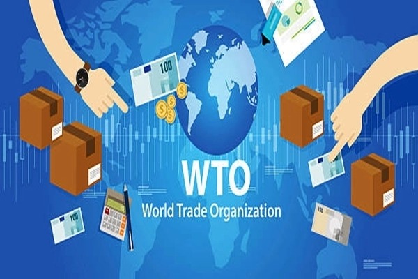 WTO's 12th ministerial meeting opens in Geneva to tackle key issues