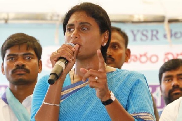 ys sharmila say will contest from paleru of khammam district in forth coming elections