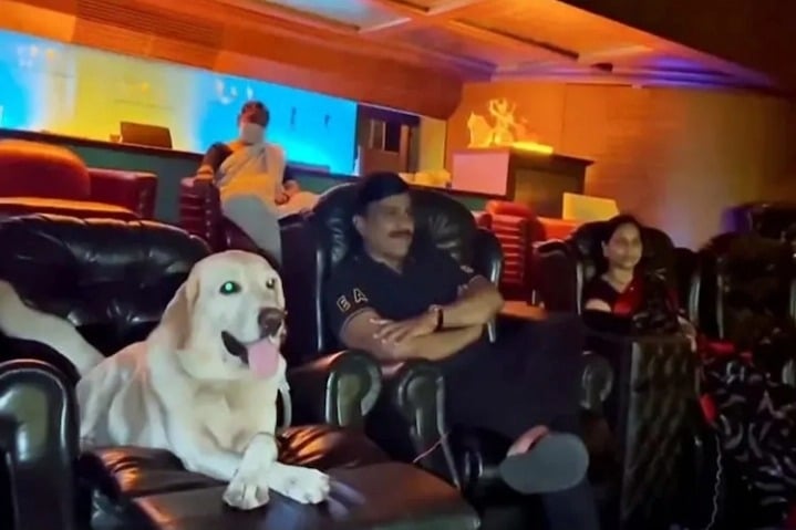 Mining baron Janardhana Reddy watches '777 Charlie' with pet dog