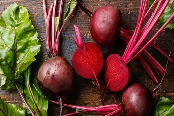 Beetroot as a potential food for cancer: It prevents disease in three ways