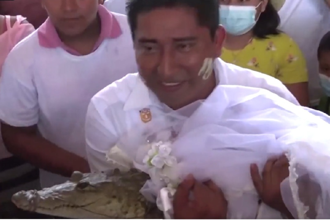 mexican mayor marries alligator in centuries old ritual