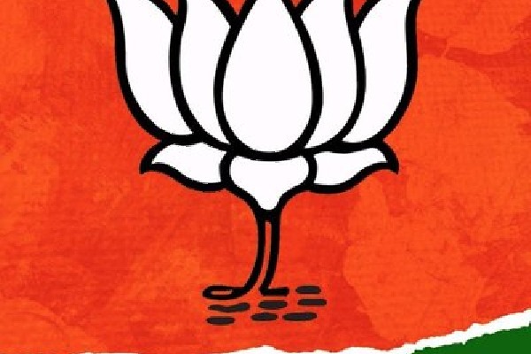 bjp divided telangan in to 4 clusters and appoints a union minister for each of a cluster