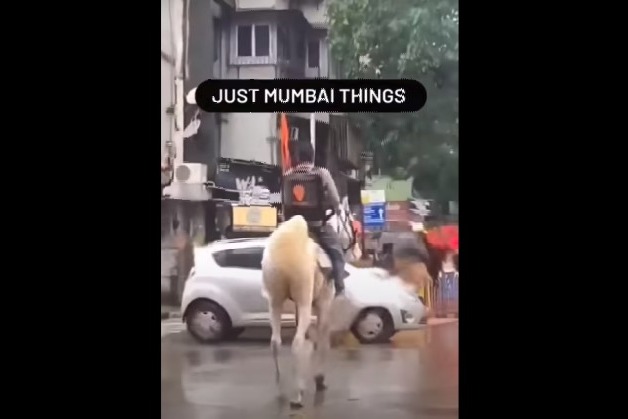 Swiggy offers reward for info on their accidental brand ambassador the delivery man on horse