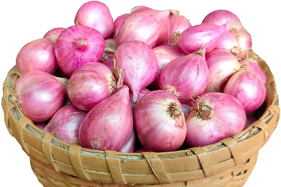 Centre builds record reserve of 250000 tonnes of onions
