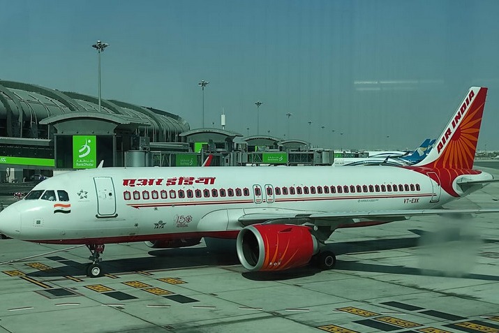 Bird spotted in Air India plane in midair 