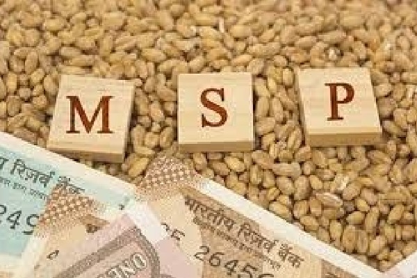 Govt sets up panel to make MSP more effective, transparent