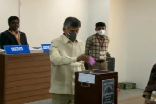 TDP Chief Chandrababu casts his vote in presidential elections