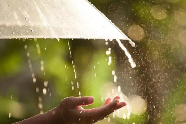Health tips: Precautions to be taken to keep infections at bay during rainy season