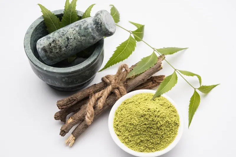 Ayurveda expert on ways to add the natural herb to daily routine