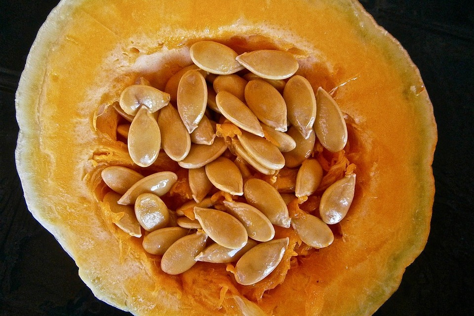 Why should you add pumpkin seeds to your Diet