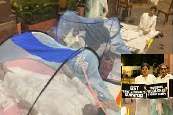 MPs slept in mosquito nets at Parliament entrance