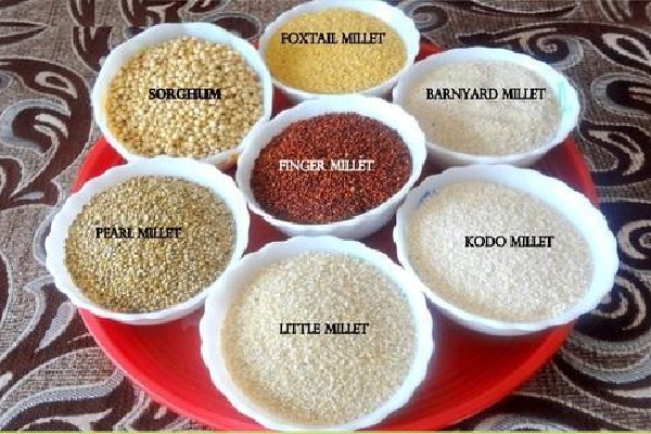 Apollo Hospitals serves a range of millet dishes for patients