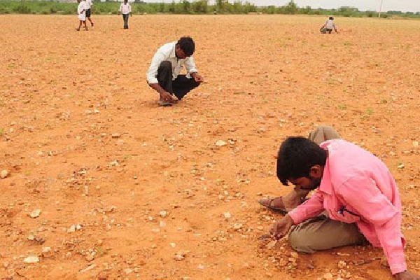 Jonnagiri farmer found diamond which costs Rs 25 lakhs