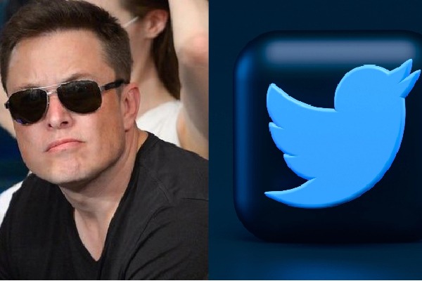 Twitter users have 'spoken' on fake accounts: Elon Musk