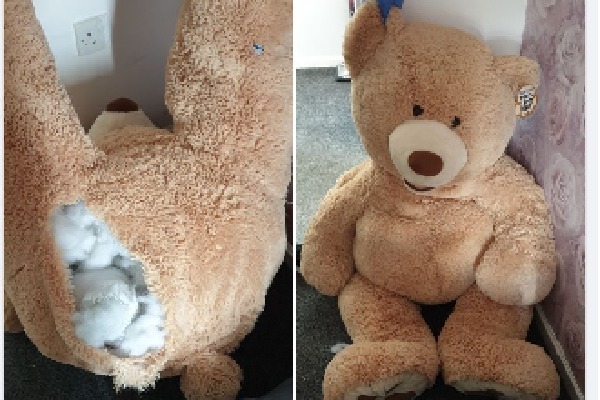 UK police catch wanted thief hiding in teddy bear