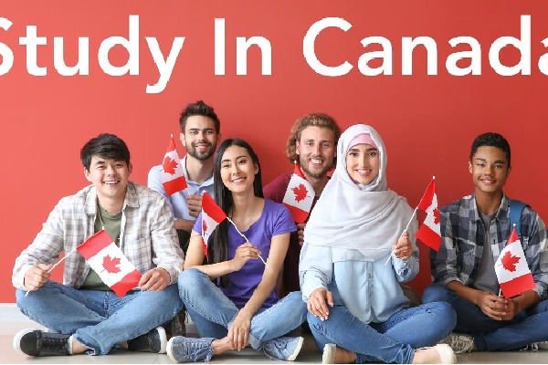 75000 study permit applications submitted from India in processing stage Canada