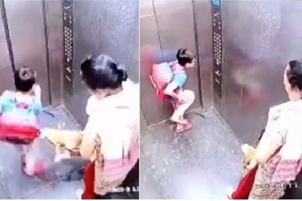  Woman fined Rs 5000 after pet dog bites child in lift