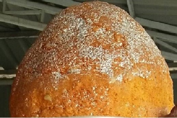 Balapur laddu gets record price of Rs 24.64 lakhs in auction