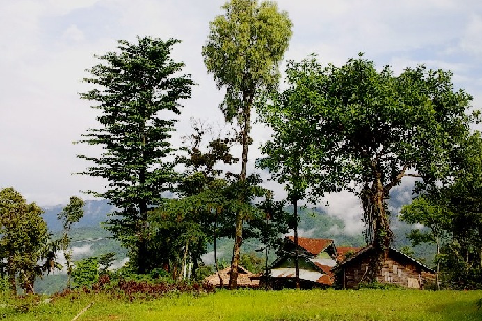 Longwa village residents enjoy dual citizenship of india and myanmar
