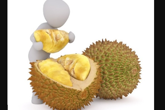 Amazing health benefit of jackfruit with controlling diabetes