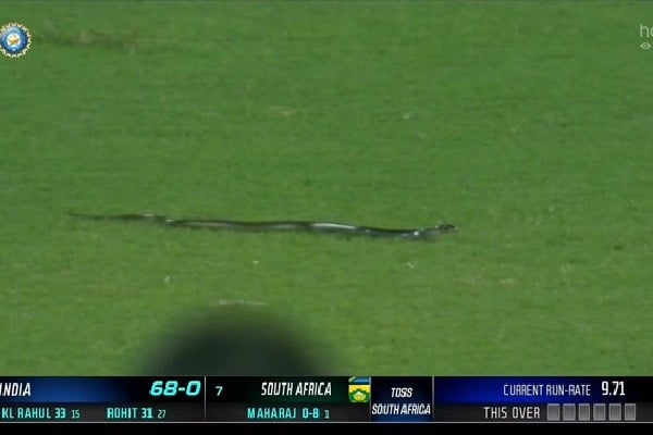 Snake enters into ground during Team India batting