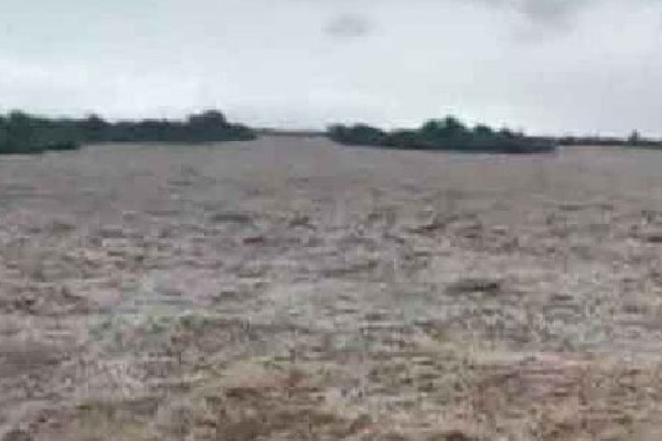 Eight drown in flash floods during Durga Puja immersion at Jalpaiguri in West Bengal