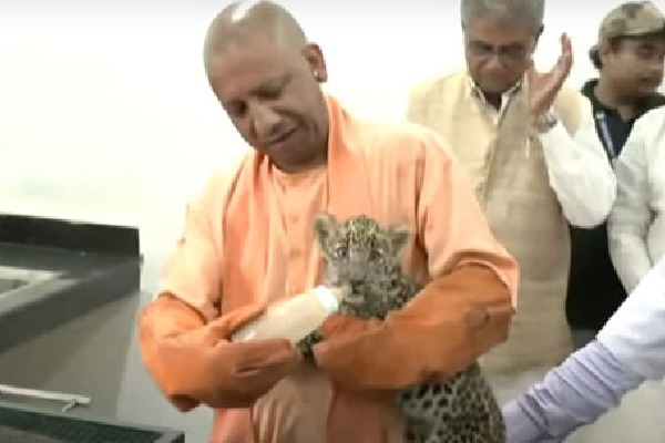 Yogi Adityanath Feeds Leopard Cub With Bottle At Gorakhpur Zoo