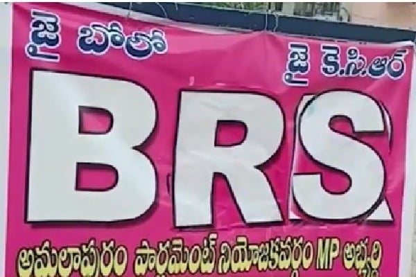 BRS posters in Amalapuram