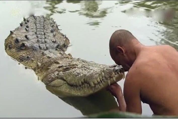 Babiya, vegetarian crocodile of Sri Ananthapura temple lake, passes away 