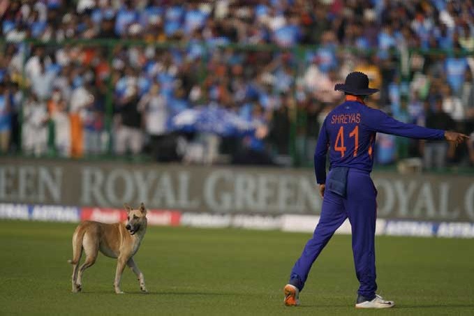 team india player Shreyas Iyer sent a street dog with his signal from stadium