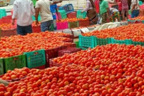 Kilo Tomato for Rs 2 in Kurnool market