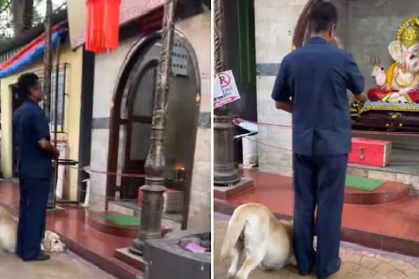 Dog bows down pays respect to Lord Ganesha   Video is viral