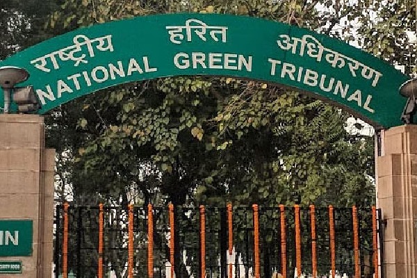NGT Fines Andhrapradesh Govt Rs 5 Crores for destroying Mada Forest 