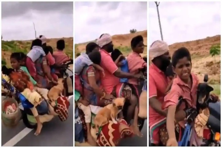 Man drives bike with six passengers and two dogs video shocks netizens